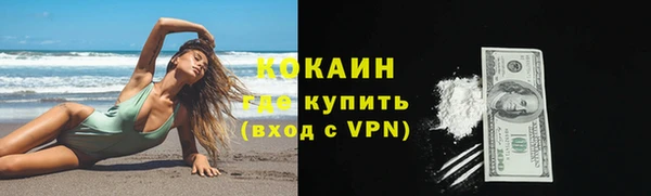 бошки Горняк
