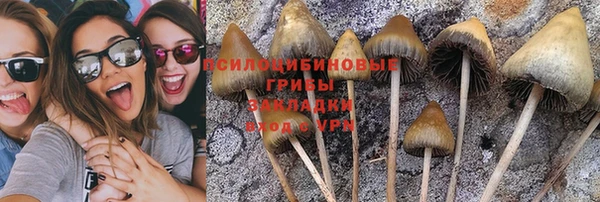 ALPHA PVP Горно-Алтайск