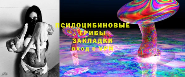ALPHA PVP Горно-Алтайск