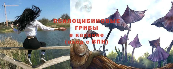 бошки Горняк