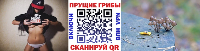 Псилоцибиновые грибы мицелий  Зверево 